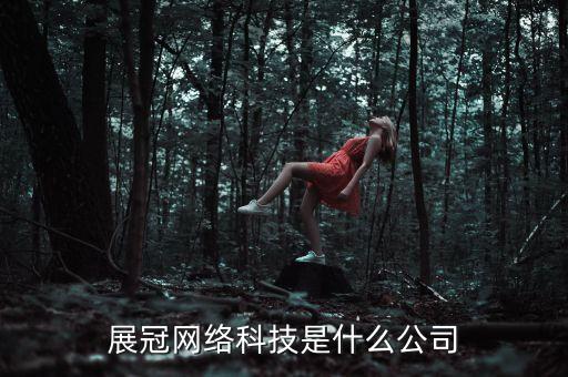 展冠網(wǎng)絡(luò)科技是什么公司