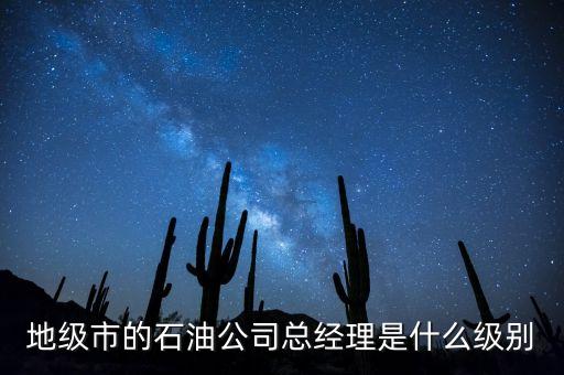 地級(jí)市的石油公司總經(jīng)理是什么級(jí)別