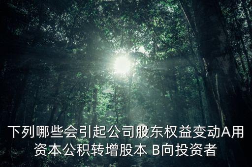 下列哪些會(huì)引起公司股東權(quán)益變動(dòng)A用資本公積轉(zhuǎn)增股本 B向投資者