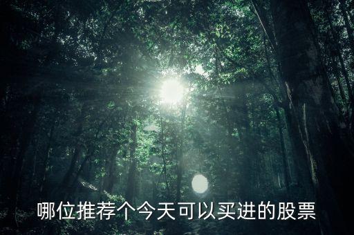 哪位推薦個今天可以買進的股票