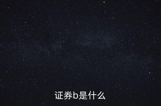 證券b是什么