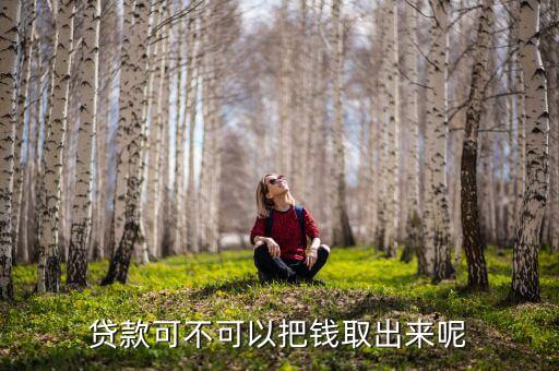 貸款可不可以把錢(qián)取出來(lái)呢