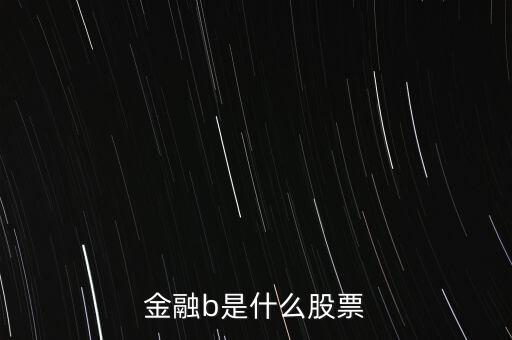 網(wǎng)金b是什么股，金融b是什么股票