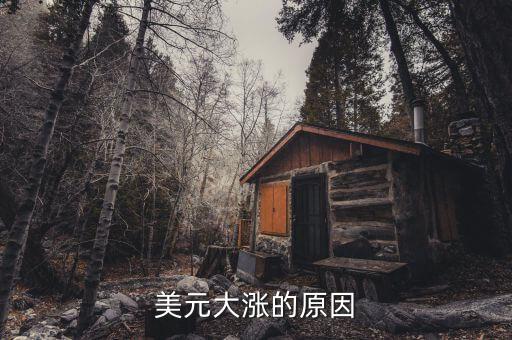 美元大漲的原因