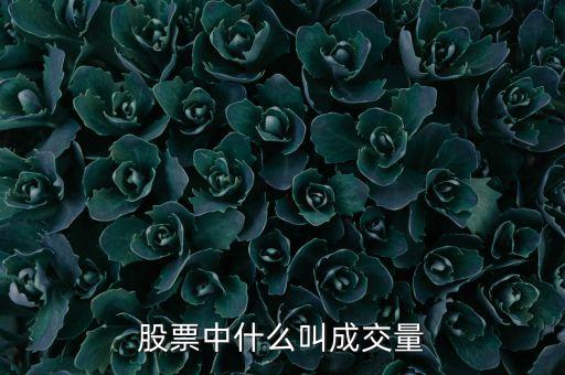股票什么是成交量，什么是成交量