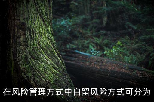 風(fēng)險(xiǎn)自留包括什么，在風(fēng)險(xiǎn)管理方式中自留風(fēng)險(xiǎn)方式可分為