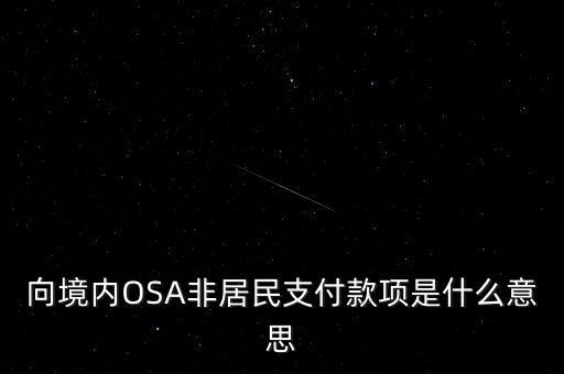 向境內(nèi)OSA非居民支付款項是什么意思