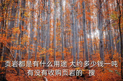 頁巖都是有什么用途 大約多少錢一噸有沒有收購頁巖的   搜