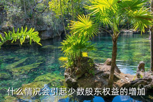 什么情況會(huì)引起少數(shù)股東權(quán)益的增加