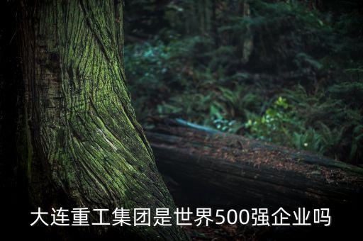 大連重工集團(tuán)是世界500強(qiáng)企業(yè)嗎