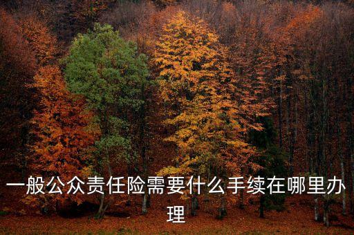 一般公眾責(zé)任險(xiǎn)需要什么手續(xù)在哪里辦理