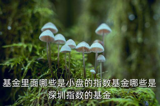 基金里面哪些是小盤(pán)的指數(shù)基金哪些是深圳指數(shù)的基金