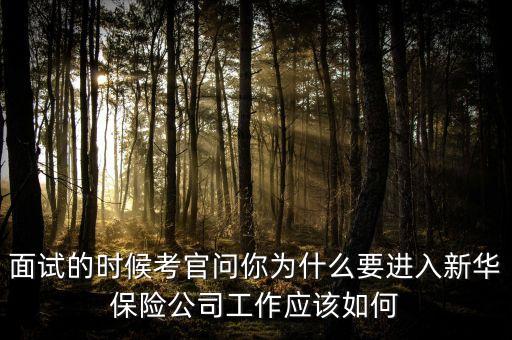 面試的時候考官問你為什么要進入新華保險公司工作應該如何