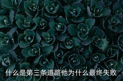 什么是第三條道路他為什么最終失敗