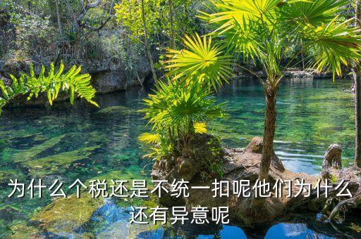個稅為什么盲區(qū)，為什么個稅還是不統(tǒng)一扣呢他們?yōu)槭裁催€有異意呢
