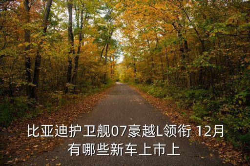 廣汽比亞迪什么時(shí)候上市，廣汽比亞迪什么時(shí)候開(kāi)始生產(chǎn)客車