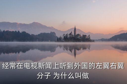 經常在電視新聞上聽到外國的左翼右翼分子 為什么叫做