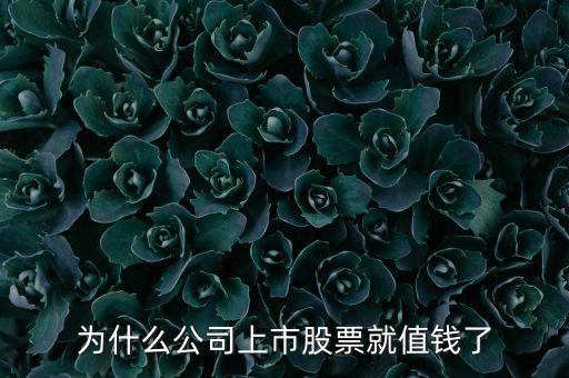 為什么公司上市股票就值錢了