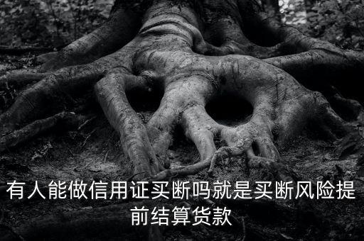 有人能做信用證買斷嗎就是買斷風(fēng)險(xiǎn)提前結(jié)算貨款