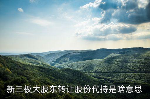 代持股是什么意思，個(gè)人代持股什么意思 什么是信托持股