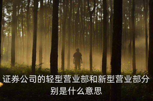 什么是輕型營業(yè)部，那些所謂大戶還會在證券公司的大戶室里進行交易嗎會的話是為
