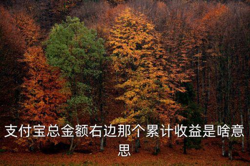 支付寶總金額右邊那個累計收益是啥意思
