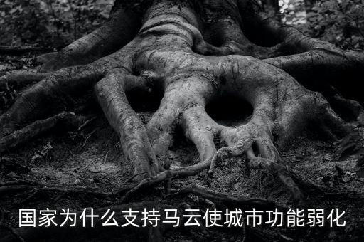 國家為什么支持馬云使城市功能弱化
