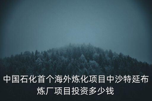 中國(guó)石化首個(gè)海外煉化項(xiàng)目中沙特延布煉廠項(xiàng)目投資多少錢
