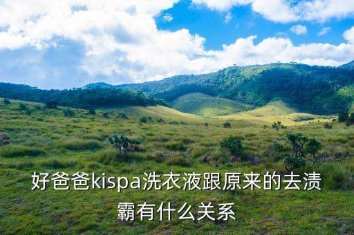 好爸爸kispa洗衣液跟原來的去漬霸有什么關(guān)系