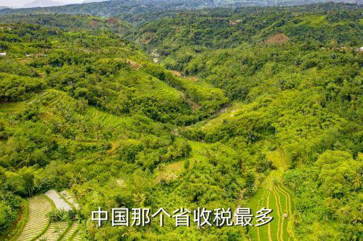 中國那個省收稅最多