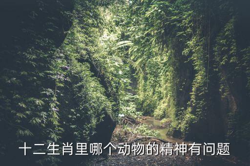 什么動(dòng)物精神不正常，十二生肖里哪個(gè)動(dòng)物的精神有問題