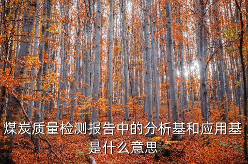 分析基什么意思，煤炭檢測報告中的QQT和S是什么意思