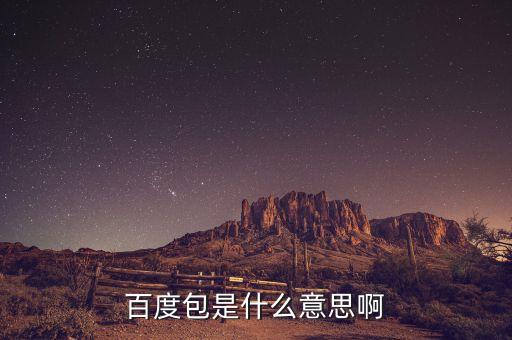 百度錢包是什么意思，百度錢包支付是什么意思