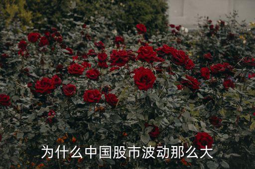 中國(guó)股市波動(dòng)為什么這么大，為什么最近股票起伏波動(dòng)很大