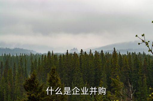 什么事并購，企業(yè)并購是什么意思
