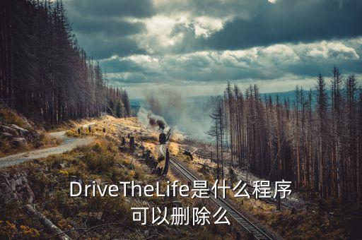 DriveTheLife是什么程序可以刪除么