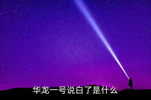 華龍一號(hào)說白了是什么