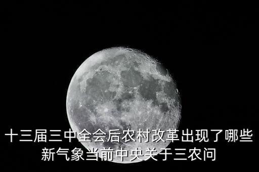 中央對農(nóng)村大亂有什么見意，解決中國的三農(nóng)有何意見