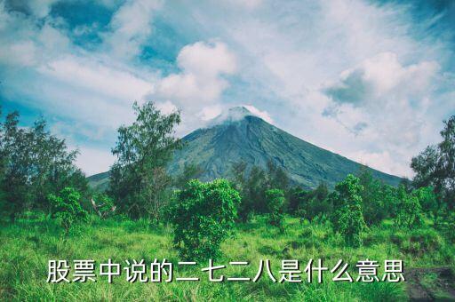 股票中說的二七二八是什么意思
