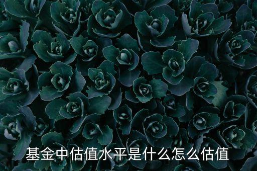 什么是估值水平，什么是取值水平