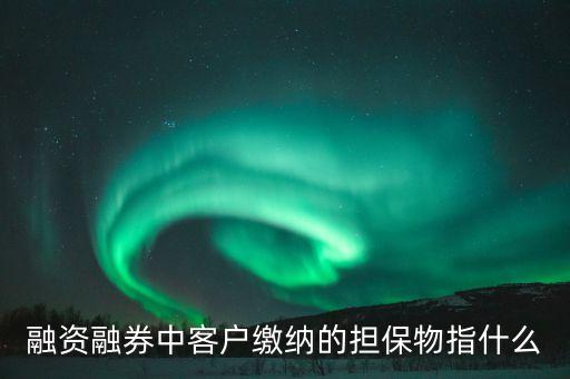 融資融券中客戶繳納的擔(dān)保物指什么