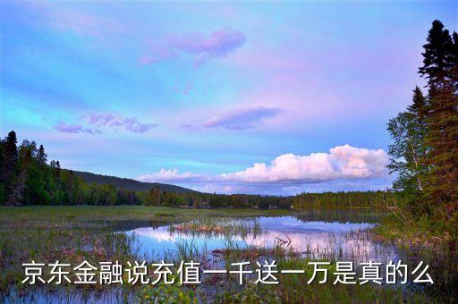 京東金融說充值一千送一萬是真的么