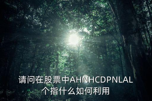 請問在股票中AHNHCDPNLAL個指什么如何利用
