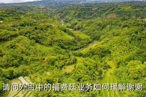 請(qǐng)問(wèn)外貿(mào)中的福費(fèi)廷業(yè)務(wù)如何理解謝謝