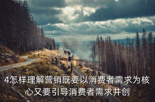 4怎樣理解營銷既要以消費者需求為核心又要引導(dǎo)消費者需求并創(chuàng)