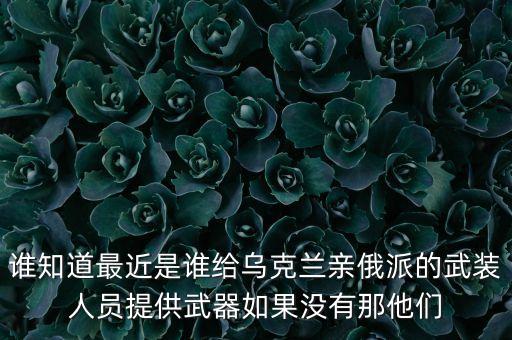 誰知道最近是誰給烏克蘭親俄派的武裝人員提供武器如果沒有那他們