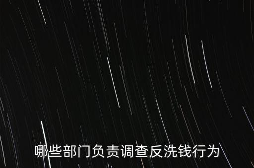 哪些部門負責調(diào)查反洗錢行為