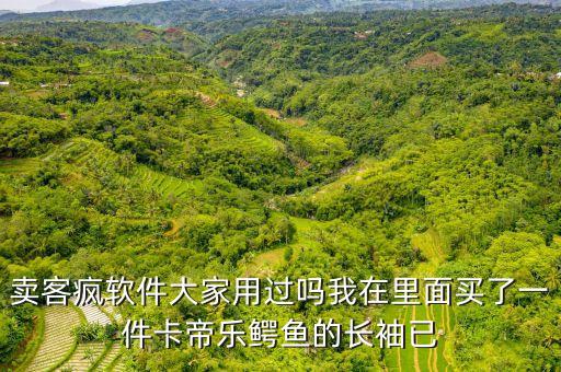 賣客瘋為什么不發(fā)貨，賣客瘋軟件大家用過嗎我在里面買了一件卡帝樂鱷魚的長(zhǎng)袖已