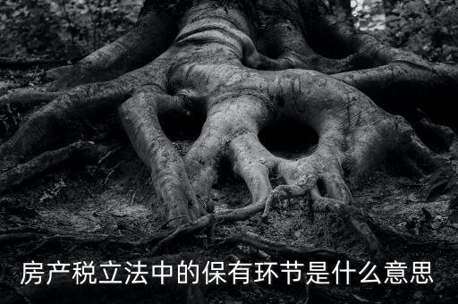 房地產(chǎn)持有環(huán)節(jié)是什么，房產(chǎn)稅立法中的保有環(huán)節(jié)是什么意思