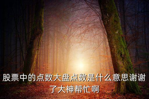 股票中的點數(shù)大盤點數(shù)是什么意思謝謝了大神幫忙啊